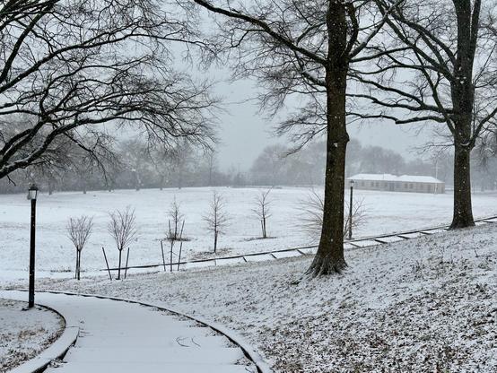 A snowy field in a city park, with a path curving off to the left and a low building in the distance on the right. Snowflakes are visible and the light is flat.