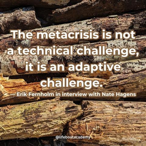 "The metacrisis is not a technical challenge, it is an adaptive challenge." — Erik Fernholm in interview with Nate Hagens

Detail of the base layer of a hugelkultur bed comprised of thick alder stick ends meeting, all in various stages of desiccation and decay.