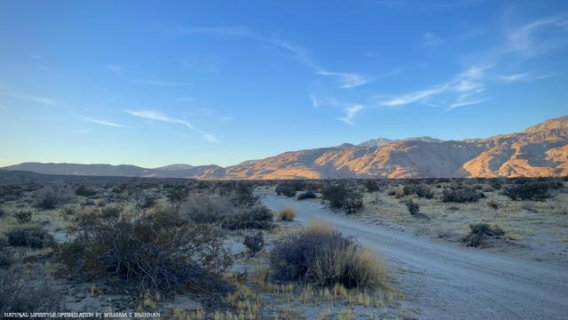Dirt road in a remote canyon in the Anza Borrego Desert State Park in San Diego County, California.  Red mountains gleam in the late afternoon sun while the dry valley floor is in shadow. William Z. Brennan is a natural lifestyle expert, creator of Natural Lifestyle Optimization, and founder of Desert Mountain Apothecary: The Original Desert Apothecary for Mind Body & Spirit.  Natural Lifestyle Optimization is the philosophy of creating lasting, transformational change through harnessing the power of a natural lifestyle and micro-habits.  Personal development, spiritual healing, spiritual breakthrough, transformational development, transformational breakthrough, breaking free from spiritual bondage, mindfulness, meditation, consciousness, subconscious, spiritual awakening.  Please Enjoy!  All the best, William Z. Brennan
