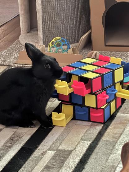 Me with a puzzle in the shape of Rubik’s cube with colored drawers 