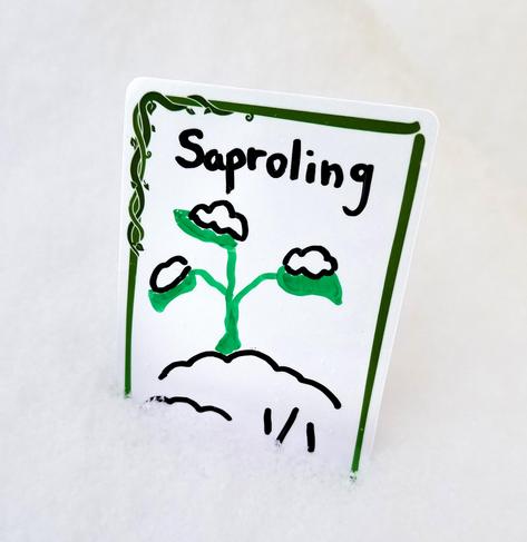 An InfiniTokens dry erase token with a green vine border design and a saproling drawn on it sits upright in a pile of snow.