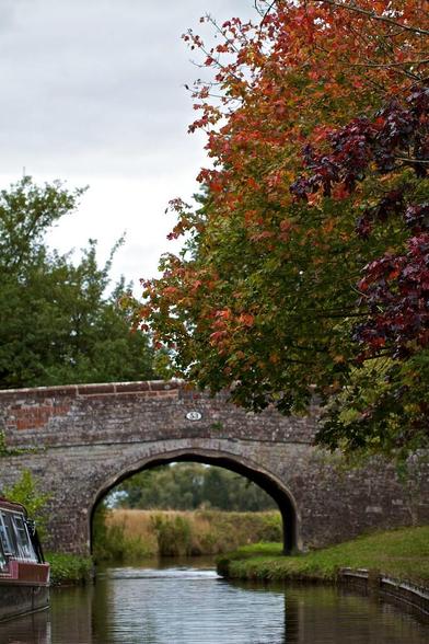 A photo titled "Canal Trip Llangollen September 2011 226 - Version 2", taken near Bridge 53, Lyneal Road Bridge by Pacificnw.co.uk on Flickr.