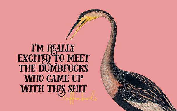 A painting of a bird beside the text "i'm really excited to meet the dumbfucks who came up with this shit"