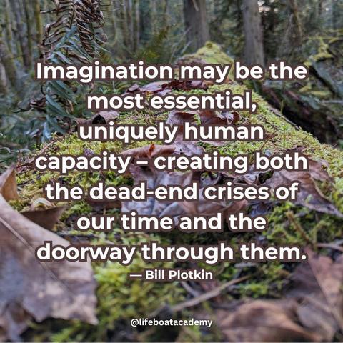 “Imagination may be the most essential, uniquely human capacity – creating both the dead-end crises of our time and the doorway through them.” — Bill Plotkin. Background is a moss-covered fallen tree with dry leaves covering it in a deep forest, photo taken in a dramatic perspective - width of the trunk at the bottom of the image tapering dramatically to a point at the top of the image.