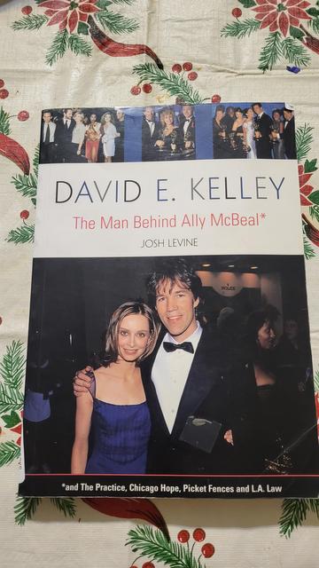 Ally McBeal book