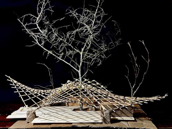 A handcrafted architectural model made of bamboo sticks, tied together in a lattice-like structure, forming a flowing, organic roof shape. The model is set on a base of layered wooden and cardboard panels, with small earthen supports elevating the structure. In the background, leafless branches rise above the model, evoking the integration of natural elements into the design. The dark backdrop contrasts with the delicate details of the model, emphasizing the interplay of light and shadow through the woven bamboo framework.