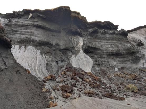 On a steep slope on a coast, the ice is clearly visible in deep layers of soil. Coastal permafrost in Muostakh Island, Siberia. Credit: David Nielsen