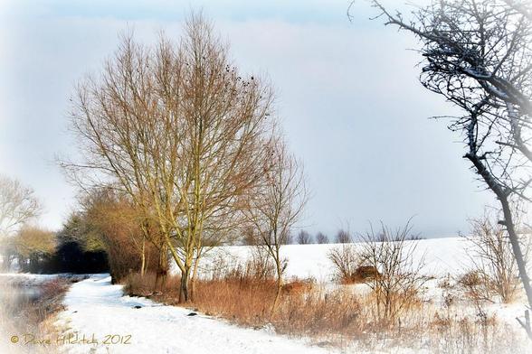 A photo titled "Cold", taken near Fixed Weir 12 2m NE of Bridge 30 by Dave Hilditch Photography on Flickr.