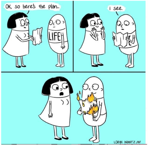 3 panel comic

1st panel - woman has a piece of paper in her hand and says 'ok, so here's the plan..." to a guy named life

2nd panel - the guy looks at the plan and the woman put her hands up to her face and looks excited

3rd panel - the woman looks upset and shocked when the guy named life sets her plan on fire