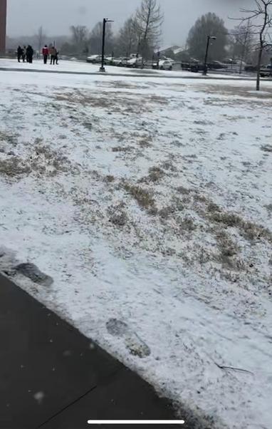 Snow on campus at the University of Clemson. 