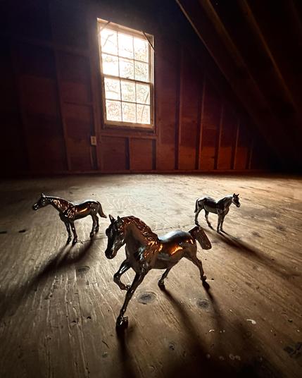 Color photo of three silhouetted horse statuettes on a rough plywood floor, backlit by a single bare window.