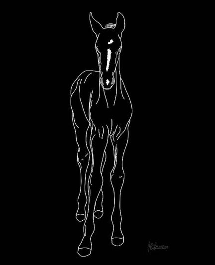 Young Foal White Outline by Joan Stratton - https://paintingsbyjoan.com/

A line drawing of a young horse stands out boldly against a black background. The simplicity of the design emphasizes the elegant form and structure of the animal.

Ether Art – A hand-drawn drawing / painting using the exciting modern art form, where art is created from scratch using a computer in lieu of a real canvas and paint, water colour, pastel, pencil, charcoal etc I create digital art from the ether, exactly the same as if I was starting with a blank canvas.

See more from my horse collection here; https://joan-stratton.pixels.com/collections/horses

#horse #foal
