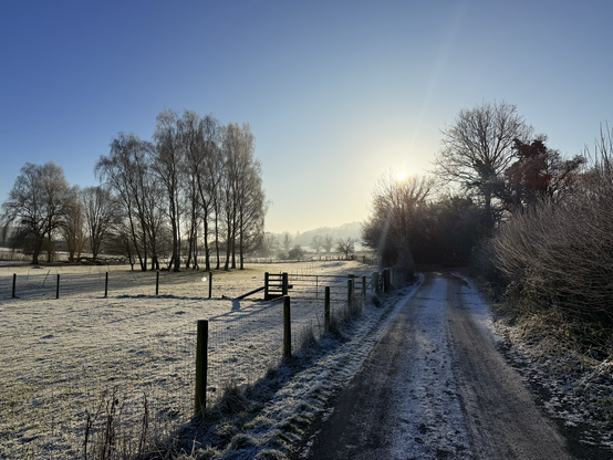 Footpath in the frost