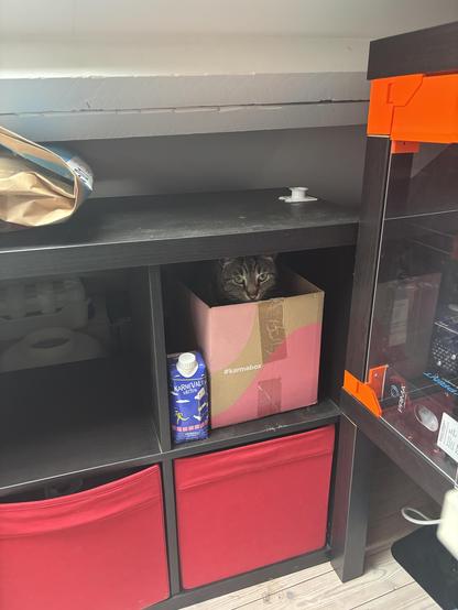 A tabby cat is hiding inside a cardboard box on a shelf. Nearby, there is a carton of water and two red storage bins. The setting appears to be a cluttered room or workspace.