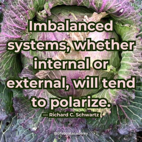 “Imbalanced systems, whether internal or external, will tend to polarize.”
― Richard C Schwartz 
 Image: close up of a head of January King cabbage.