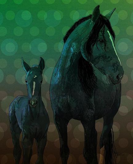 Night Approaches Paris and Foal by Joan Stratton - https://paintingsbyjoan.com/

A large horse and a foal stand against a background filled with soft, overlapping circles of varying shades of green and brown. The horses are depicted in dark, shadowy tones with subtle highlights.

RBH Paris is her competition name, she is from Germany and resides at RBH Park - Warmblood breeders & producers of horses for a Show jumping market, in the heart of North East Victoria :)

Ether Art – A hand-drawn drawing / painting using the exciting modern art form, where art is created from scratch using a computer in lieu of a real canvas and paint, water colour, pastel, pencil, charcoal etc I create digital art from the ether, exactly the same as if I was starting with a blank canvas.

More from my horse collection; https://joan-stratton.pixels.com/collections/horses