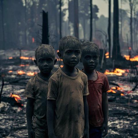 Sichtweise der #KünstlichenIntelligenz auf unsere Zukunft im #Klimawandel.