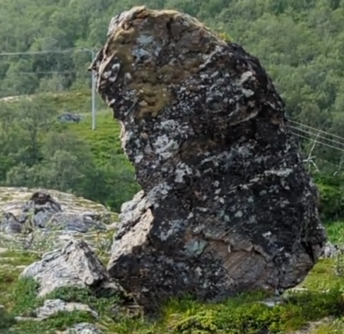 Das Profil eines Teufels, zumindest meine Interpretation,gefunden in Gildeskål
