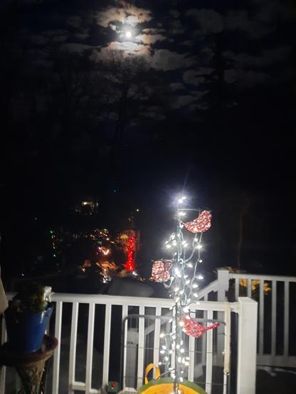 Night time view of a full moon overlooking a garden