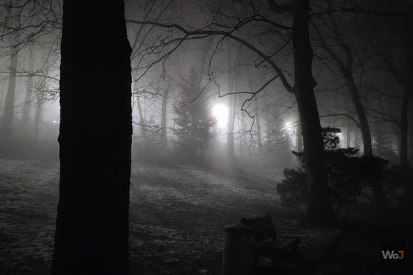 Parc de Mouscron (2025)

→ Quelques photos du parc de Mouscron dans le brouillard.
→ Some pictures of the park of Mouscron in the fog.

► Récit & photos : https://www.worldofjosh.be/photos/20250111-parc4/parc4.php
► Story & pictures : https://www.worldofjosh.be/en/photos/20250111-parc4/parc4.php

#PhotoOfTheDay #brouillard #fog #Mouscron

© 2025