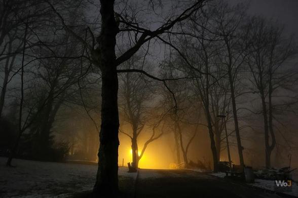 Parc de Mouscron (2025)

→ Quelques photos du parc de Mouscron dans le brouillard.
→ Some pictures of the park of Mouscron in the fog.

► Récit & photos : https://www.worldofjosh.be/photos/20250111-parc4/parc4.php
► Story & pictures : https://www.worldofjosh.be/en/photos/20250111-parc4/parc4.php

#PhotoOfTheDay #brouillard #fog #Mouscron

© 2025