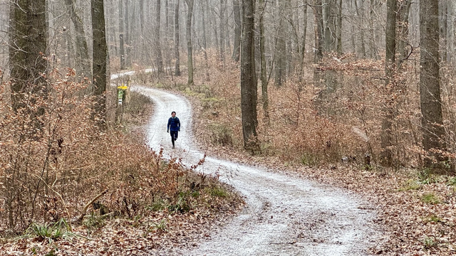 A long meandering fireroad in a forest, covered with a little bit of snow. In the distance, a runner is approaching.