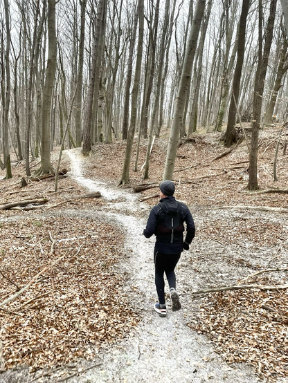 A runner on a narrow mountainbike trail in the forest.