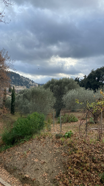 Séguret par temps couvert 