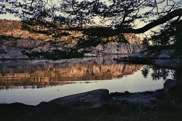 Shoreline with a mountain and trees reflecting in calm seas. Low sun, typical of early winter. View partially obscured by a oink branch.