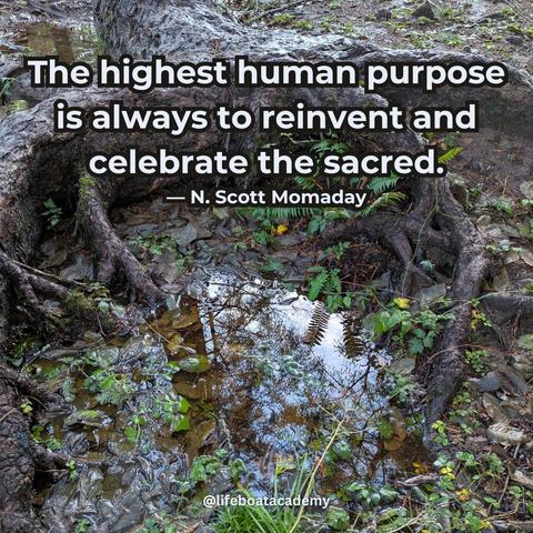“The highest human purpose is always to reinvent and celebrate the sacred.” — N. Scott Momaday Image of a pool of water with tree roots wrapped around it and ferns and grass peppered about. The pool reflects the plants around it and the sky and canopy of evergreens above it. @lifeboatacademy