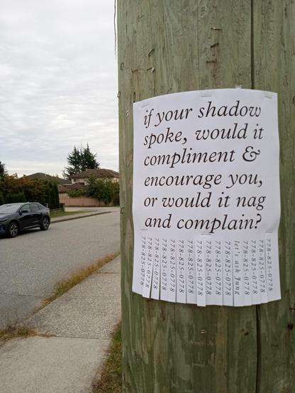 flyer on telephone pole reading 'if your shadow spoke, would it compliment & encourage you, or would it nag and complain?'