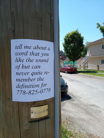 poster on telephone pole reading: 'tell me about a word that you like the sound of but can never quite remember the definition for 778-825-0778'