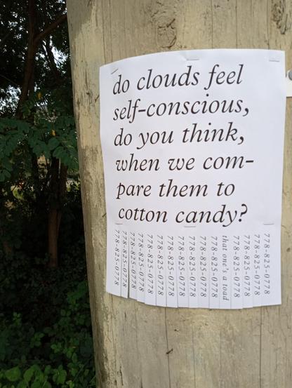 flyer on telephone pole reading 'do clouds feel self-conscious, do you think, when we compare them to cotton candy?' and tear-off strips reading '778-825-0778'