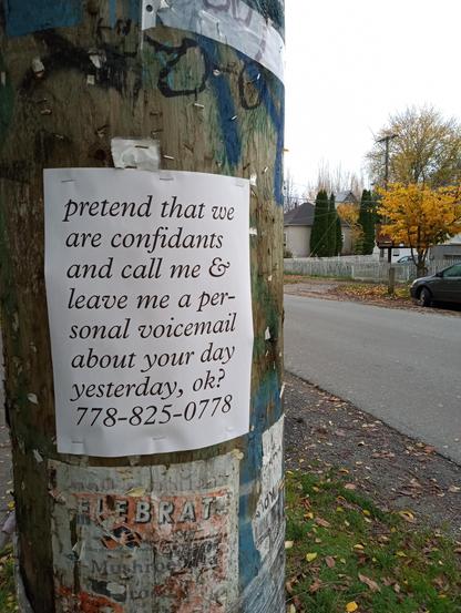 flyer on telephone pole reading 'pretend that we are confidants and call me & leave me a personal voicemail about your day yesterday, ok? 778-825-0778'