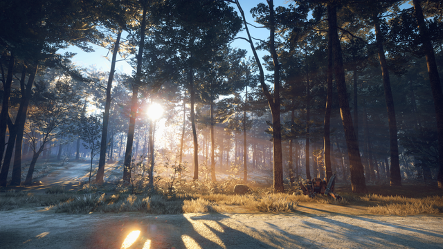 Ein Series X Screenshot aus dem Spiel Generation Zero. Im Vordergrund ist eine Straße, dahinter im Grünstreifen liegt ein zerschossener Roboter vor einem lichten Waldstück. Es ist Morgen und die noch tiefstehende Sonne scheint strahlend durch die Bäume und leichten Frühnebel hindurch. Trotz winterlicher Temperaturen wirkt die Szene durch das Sonnenlicht warm.