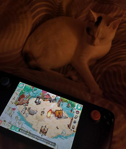 Steamdeck mit cozy grove ubd weisser katze die danebenliegt undbzufrieden die lila decke knetet