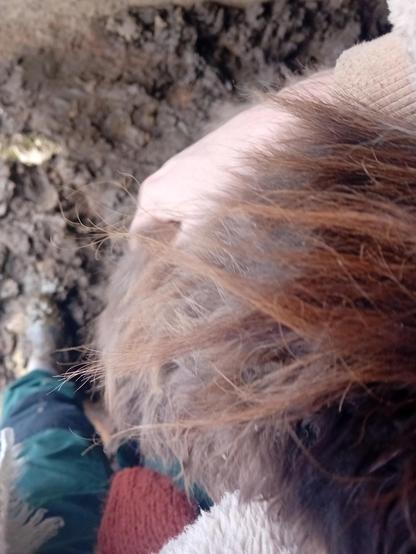 Une photo de moi et d'une ânesse, avec beaucoup de tendresse