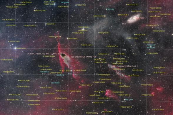 12-inch lacerta remote, NA, astrofotografie, astronomie, astronomy, astrophotography, cg25, cg3, cometary globule, dark nebula, emission nebula, emissionsnebel, galaxy, hakos, hakos guest farm, ias, ias observatory, ias observatory hakos, khomas, namibia, ngc, ngc2427, puppis, world