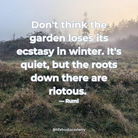 Nature and psychology work the same way. "Don't think the garden loses its ecstasy in winter. It's quiet, but the roots down there are riotous." — Rumi
Image of a hazy Pacific Northwest dawn, the sky coloured in pastels and a dewy gray and brown field stretching to a near horizon of Douglas firs in the mist. @lifeboatacademy