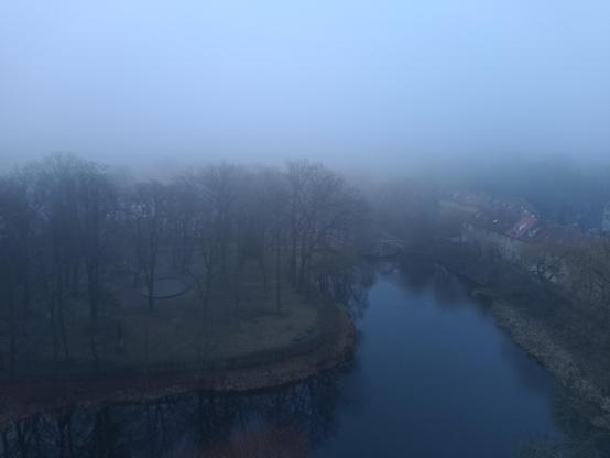 Blick auf den Weiher im Lindenhofpark bei Nebel