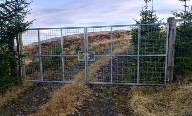 A double gate (steel frame with steel mesh) across a track, the gates are closed and padlocked.