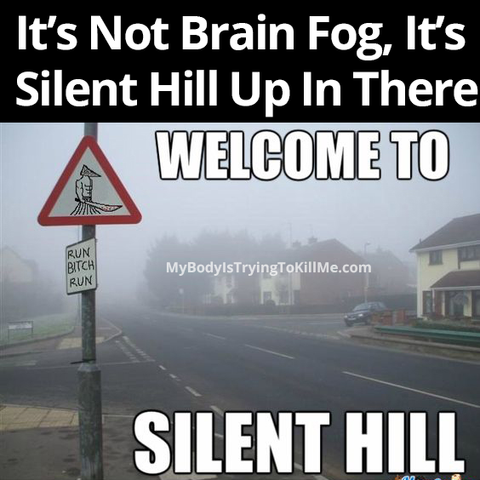 It's not brain fog, it's Silent Hill up in there

pic of a sign with a killer guy on it that says run bitch run and a town and it says 'welcome to silent hill'