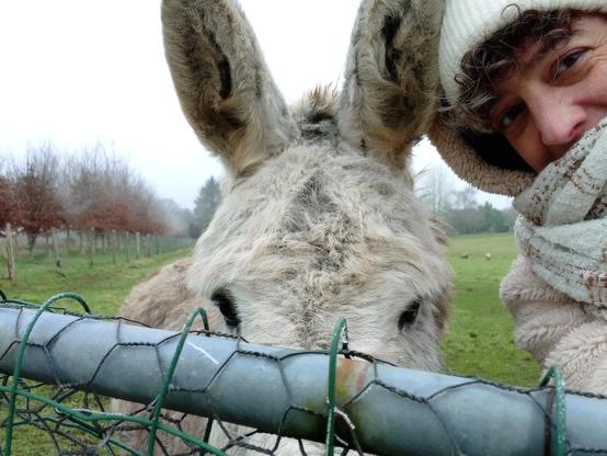 Selfie avec un âne (Cadeau) en France