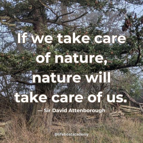 “If we take care of nature, nature will take care of us.” — Sir David Attenborough Image of a Douglas fir in a hedgerow with a tumble down rail fence.
