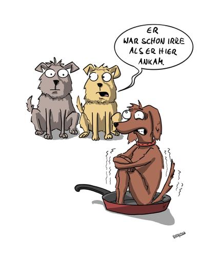Ein Hund sitzt verstört und mit irrem Blick in einer Bratpfanne. Zwei weitere Hunde sitzen in der Nähe und schauen ihm zu. Der eine sagt zum anderen: "Er war schon irre als er hier ankam."