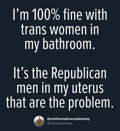 Screenshot on some sort of social media:
"I'm 100% fine with trans women in my bathroom.
It's the Republican men in my uterus that are the problem."