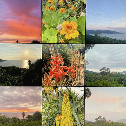 Ces images de l’île du Levant en souvenir des triptyques que j’ai aimé y composer. 
