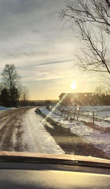 A country road in the sunny weather 
