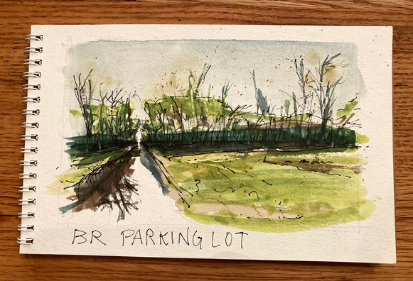 A linear canal reflects the white light of an overcast day with a soft field in the foreground, a scene visible from a Baton Rouge Parking lot 