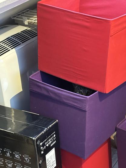 A curious cat peeks out from inside a purple storage box stacked with red and purple boxes, next to an air conditioning unit and a black box.